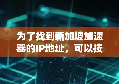 为了找到新加坡加速器的IP地址，可以按照以下步骤进行