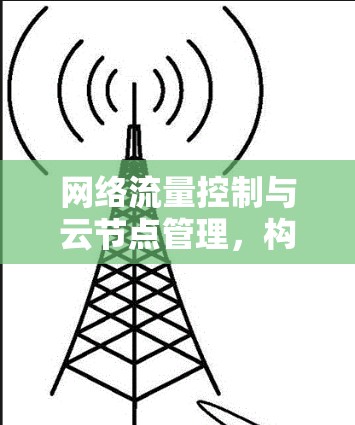网络流量控制与云节点管理，构建网络安全防护体系