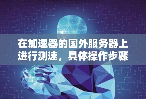 在加速器的国外服务器上进行测速，具体操作步骤如下