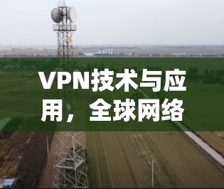 VPN技术与应用，全球网络解决方案