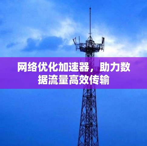 网络优化加速器，助力数据流量高效传输
