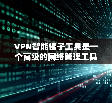 VPN智能梯子工具是一个高级的网络管理工具，旨在帮助用户安全地访问多个VPN服务。以下是对该工具的详细说明