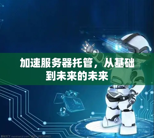 加速服务器托管，从基础到未来的未来