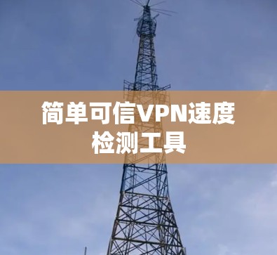 简单可信VPN速度检测工具