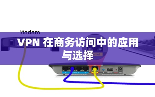VPN 在商务访问中的应用与选择