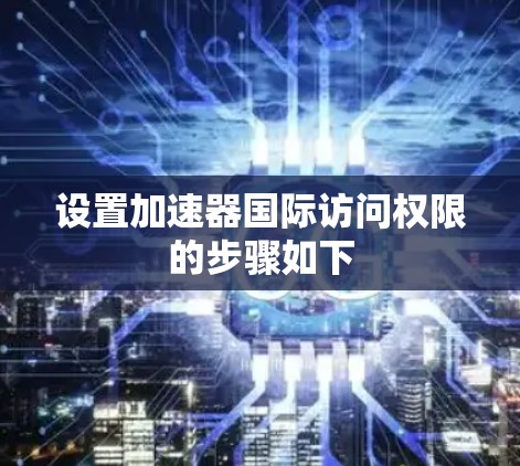 设置加速器国际访问权限的步骤如下