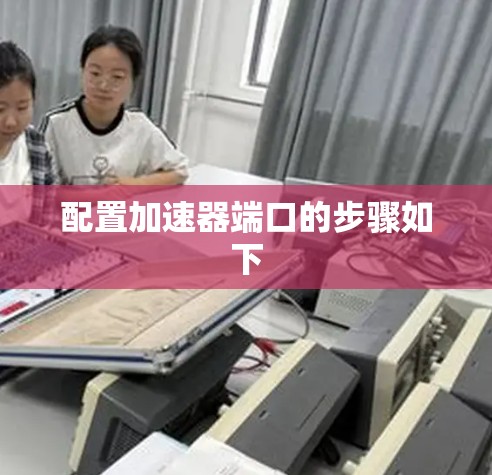 配置加速器端口的步骤如下