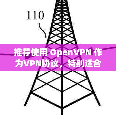 推荐使用 OpenVPN 作为VPN协议，特别适合个人用户和小型企业用户。以下是详细建议