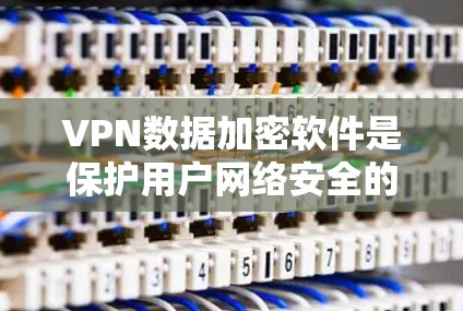 VPN数据加密软件是保护用户网络安全的重要工具，通过强大的加密技术和协议，确保数据在传输过程中的安全性。以下是关于VPN数据加密软件的详细分析