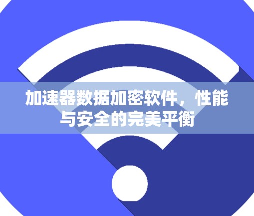 加速器数据加密软件，性能与安全的完美平衡