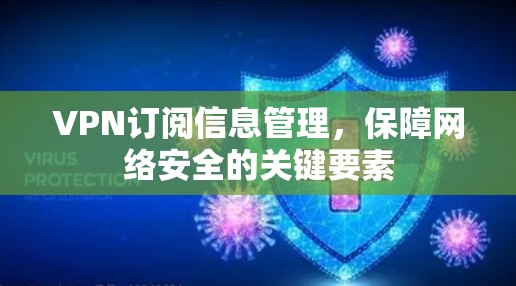 VPN订阅信息管理，保障网络安全的关键要素