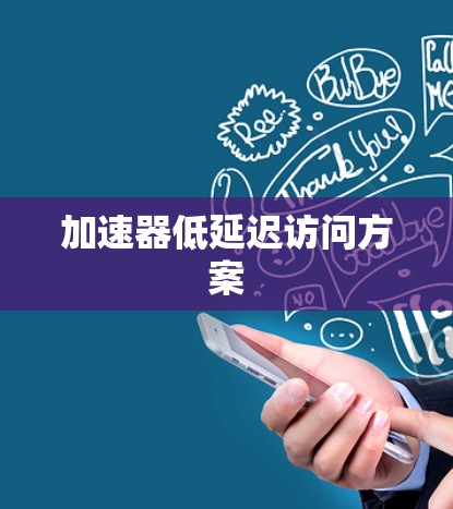 加速器低延迟访问方案