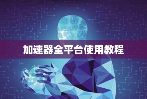 加速器全平台使用教程