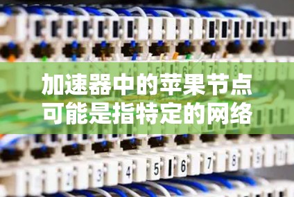 加速器中的苹果节点可能是指特定的网络节点，用于优化与苹果设备或服务的连接。以下是一些可能的解释和建议