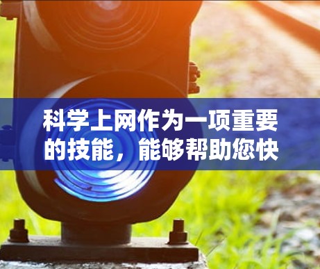 科学上网作为一项重要的技能，能够帮助您快速找到大量高质量的学术资源。以下是您学习科学上网的分步指南
