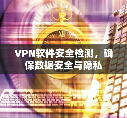 VPN软件安全检测，确保数据安全与隐私
