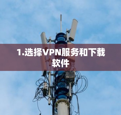 1.选择VPN服务和下载软件