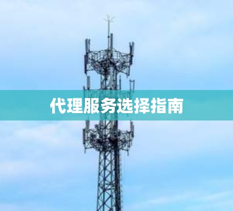 代理服务选择指南