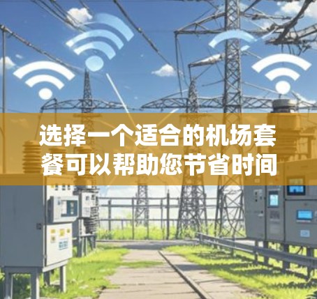 选择一个适合的机场套餐可以帮助您节省时间和费用，同时提升旅行体验。以下是一个有条理的选择指南，帮助您做出明智的决定