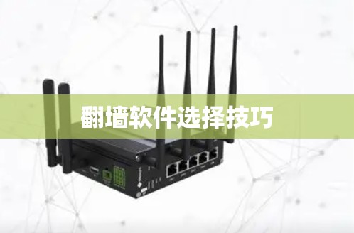 翻墙软件选择技巧
