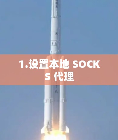 1.设置本地 SOCKS 代理