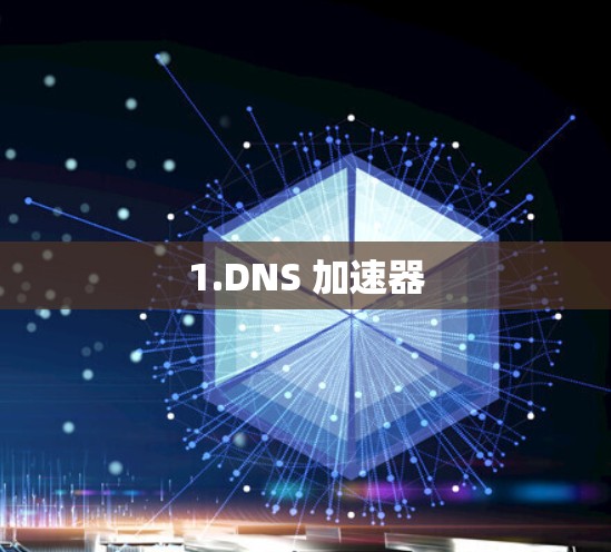 1.DNS 加速器