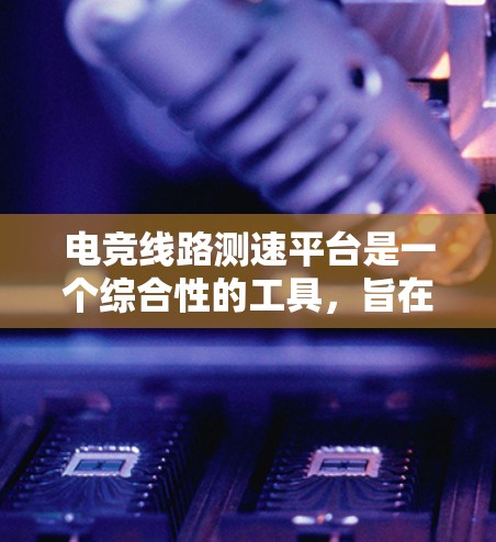 电竞线路测速平台是一个综合性的工具，旨在帮助电竞游戏开发者和相关机构优化游戏性能，提升用户体验。以下是对该平台的详细分析和总结
