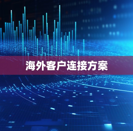 海外客户连接方案