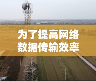 为了提高网络数据传输效率和加速访问外部资源，以下是一个有条理的网络加速方案指南