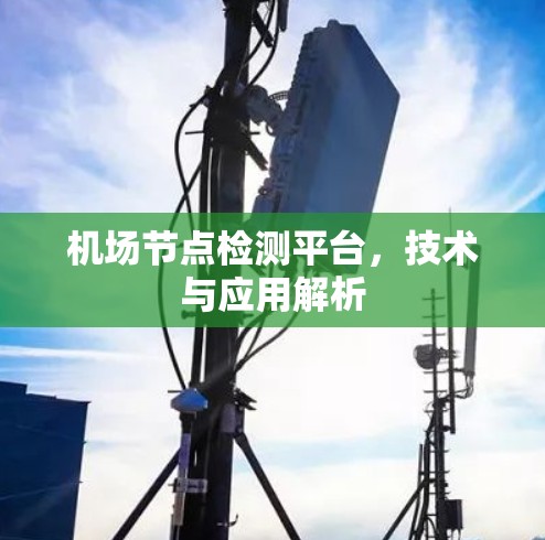 机场节点检测平台，技术与应用解析