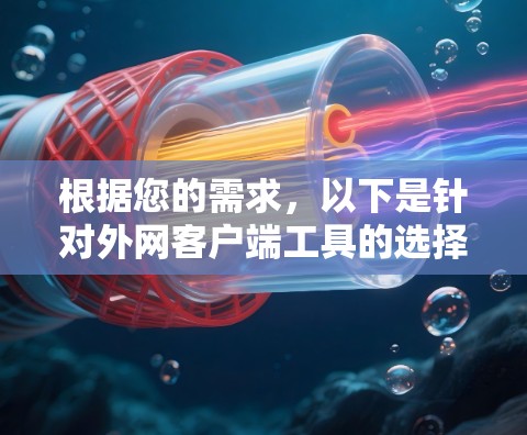 根据您的需求，以下是针对外网客户端工具的选择和建议