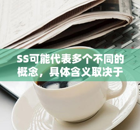 SS可能代表多个不同的概念，具体含义取决于上下文。以下是一些常见的解释和使用教程