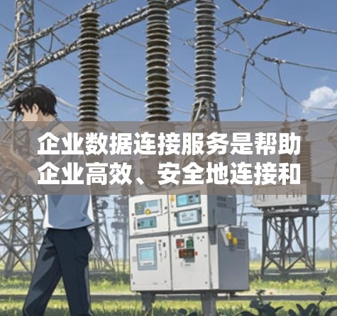 企业数据连接服务是帮助企业高效、安全地连接和管理多种数据源的综合性解决方案，确保数据的一致性和可用性。以下是对企业数据连接服务的详细分析和总结