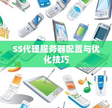 SS代理服务器配置与优化技巧