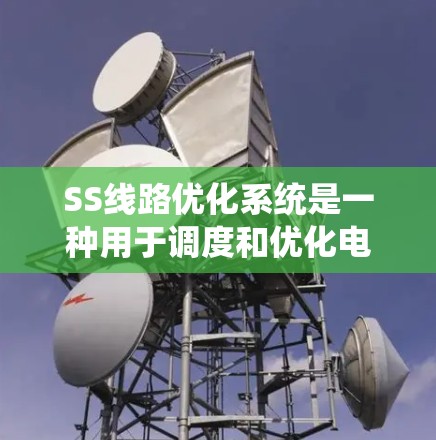 SS线路优化系统是一种用于调度和优化电力系统中串联电路的解决方案，主要应用于配电网中的串联电路，旨在优化电路性能，降低能耗，提高可靠性。以下是对该系统的详细分析和总结