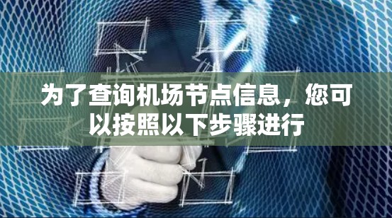 为了查询机场节点信息，您可以按照以下步骤进行