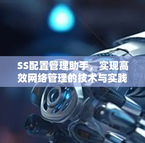 SS配置管理助手，实现高效网络管理的技术与实践