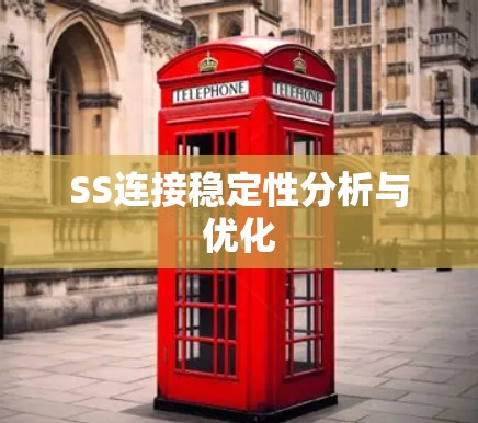 SS连接稳定性分析与优化