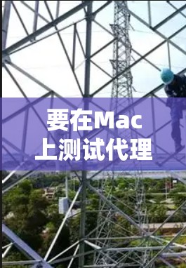 要在Mac上测试代理服务器的连接，通常可以按照以下步骤进行
