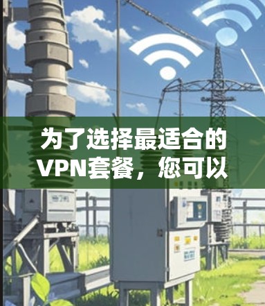 为了选择最适合的VPN套餐，您可以按照以下步骤操作
