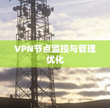 VPN节点监控与管理优化