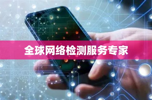 全球网络检测服务专家