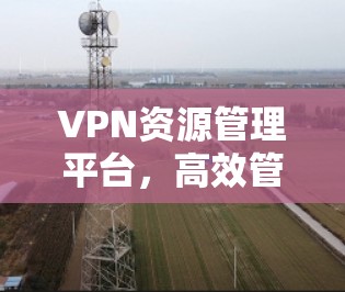 VPN资源管理平台，高效管控网络安全