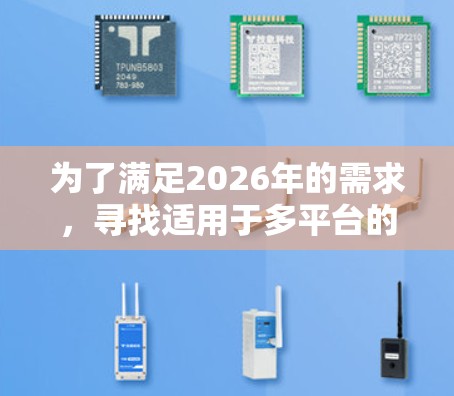 为了满足2026年的需求，寻找适用于多平台的VPN客户端合集，以下是一些知名VPN服务提供商及其客户端特点，供您参考