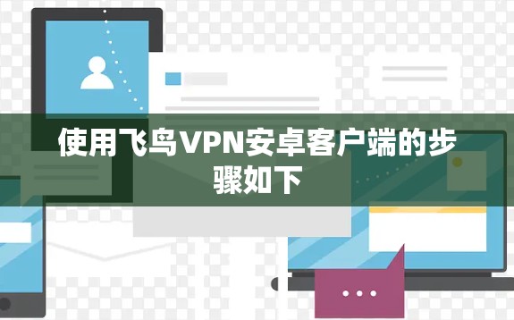 使用飞鸟VPN安卓客户端的步骤如下