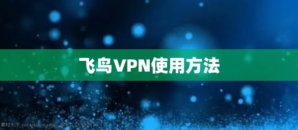 飞鸟VPN使用方法