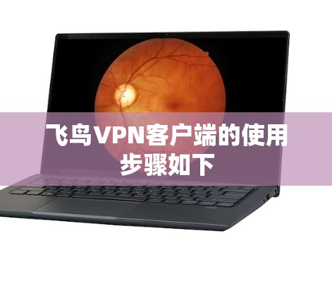 飞鸟VPN客户端的使用步骤如下