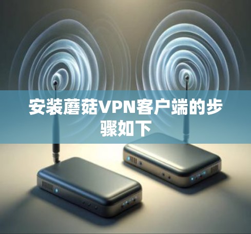 安装蘑菇VPN客户端的步骤如下