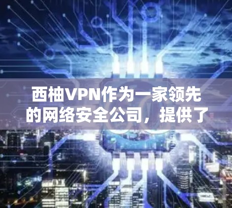 西柚VPN作为一家领先的网络安全公司，提供了全面的VPN服务，旨在保护用户的网络安全和隐私。以下是西柚VPN的主要功能说明