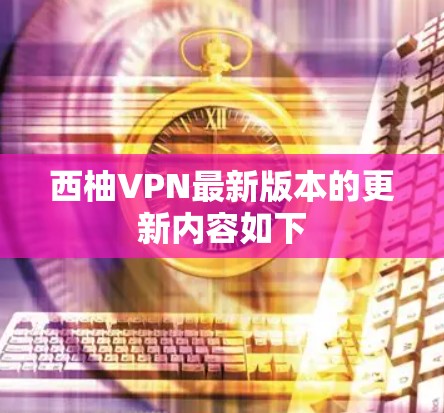 西柚VPN最新版本的更新内容如下